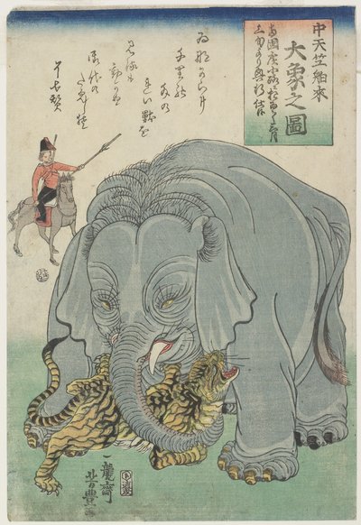 Elephant From India With Tiger by Yoshitoyo